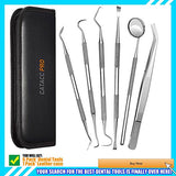 Dental Tools, 6 Pack Teeth Cleaning Tools Stainless Steel Dental Scraper Tooth Pick Hygiene Set with Mouth Mirror, Tweezer Kit for Dentist, Family Oral Care, Dogs - With Leather Case - wooelnet