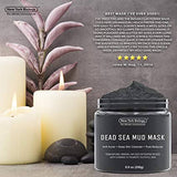 New York Biology Dead Sea Mud Mask for Face and Body - All Natural - Spa Quality Pore Reducer for Acne, Blackheads and Oily Skin - Tightens Skin for A Healthier Complexion - 8.8 oz - wooelnet