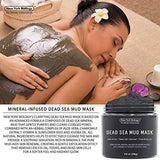 New York Biology Dead Sea Mud Mask for Face and Body - All Natural - Spa Quality Pore Reducer for Acne, Blackheads and Oily Skin - Tightens Skin for A Healthier Complexion - 8.8 oz - wooelnet