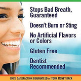 TheraBreath Fresh Breath Oral Rinse, Mild Mint, 16 Ounce Bottle (Pack of 2) - wooelnet
