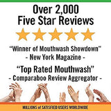 TheraBreath Fresh Breath Oral Rinse, Mild Mint, 16 Ounce Bottle (Pack of 2) - wooelnet